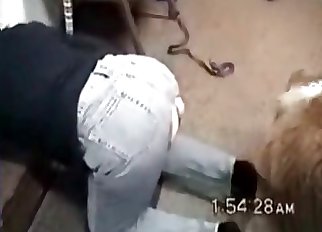 Amazing bestiality joy for a super-hot mega-bitch and a lovely doggie