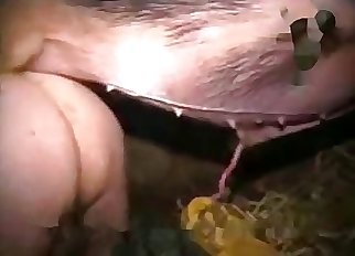 Disgusting farm bestiality with my pig