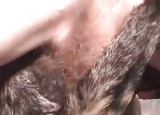 Perfect amateur zoophilia XXX with my dog