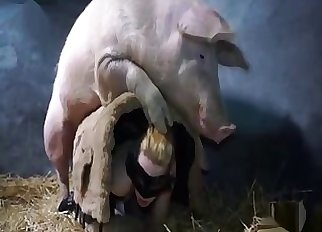Twisted pig fucking a masked first-timer