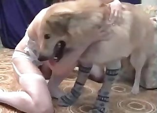 Amateur zoophilia with ﻿2 dolls