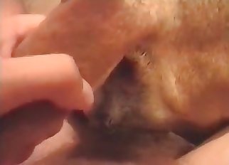 Depraved buttfuck bestiality on cam