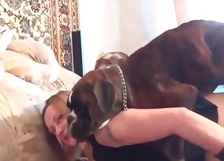 High-quality bestiality in HD